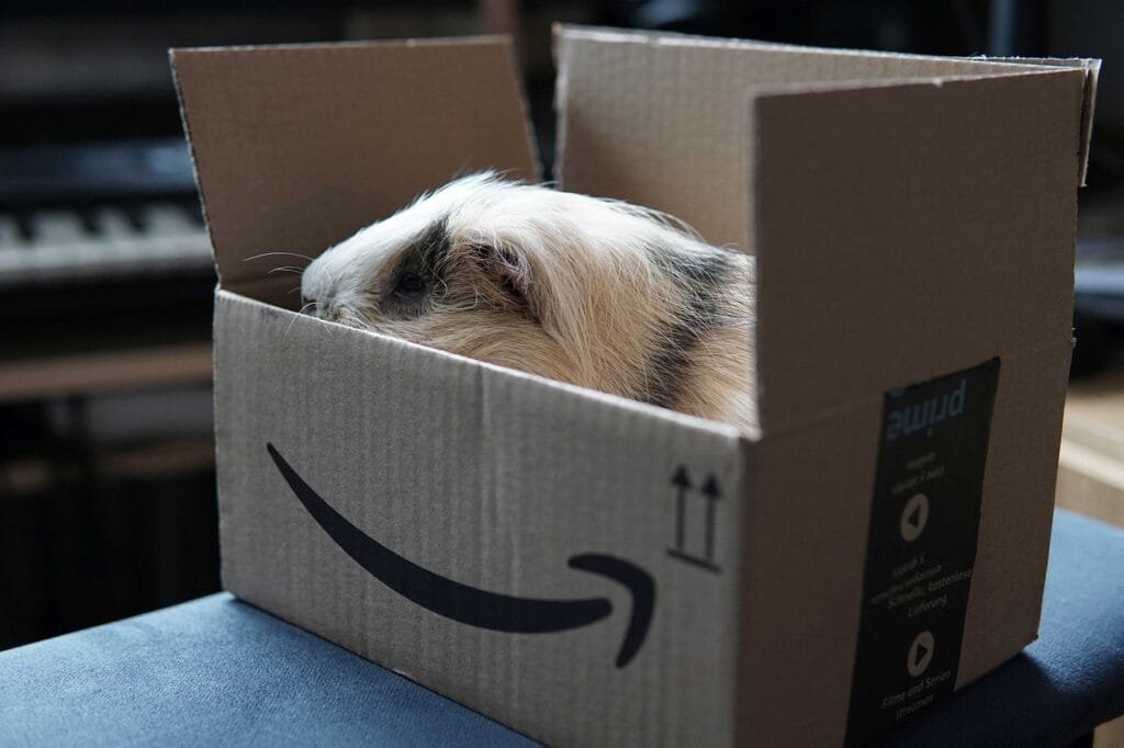 amazon